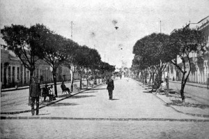avenida luiz xavier_1916